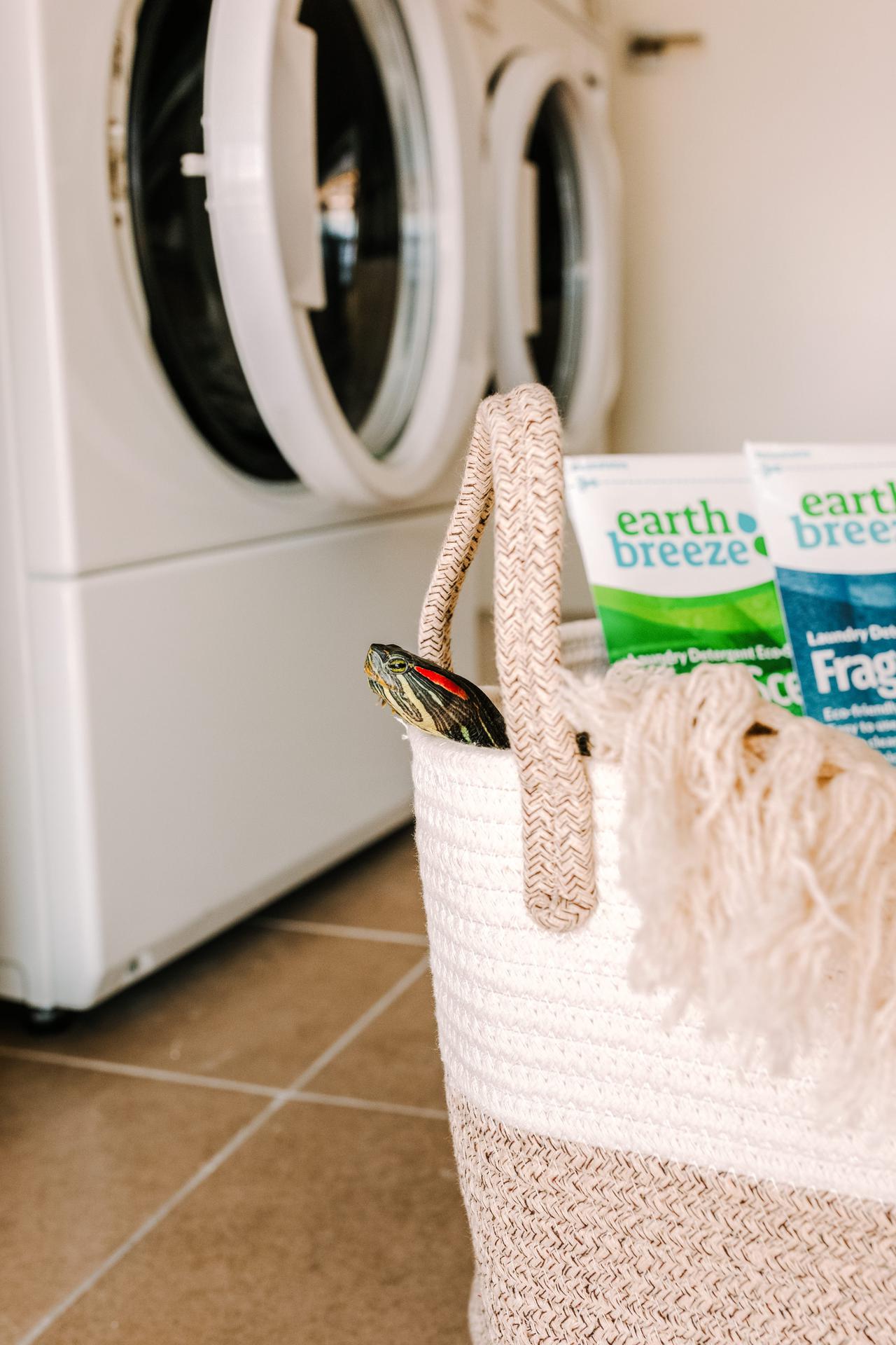 eco-friendly laundry detergent in a basket in front of a washer and dryer